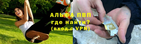 твердый Новозыбков