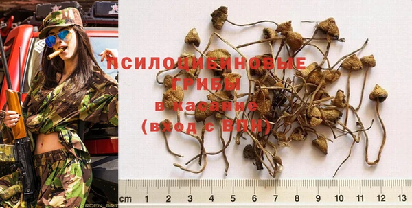 твердый Новозыбков