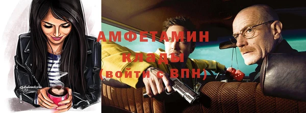 твердый Новозыбков