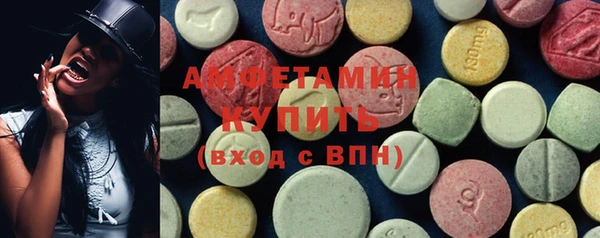 твердый Новозыбков