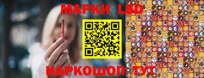 молекула духа Берёзовский