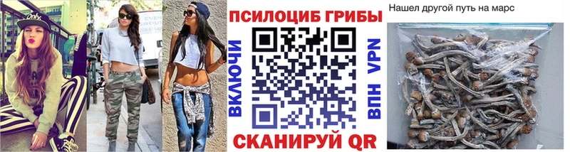 Галлюциногенные грибы прущие грибы где купить наркоту Унеча