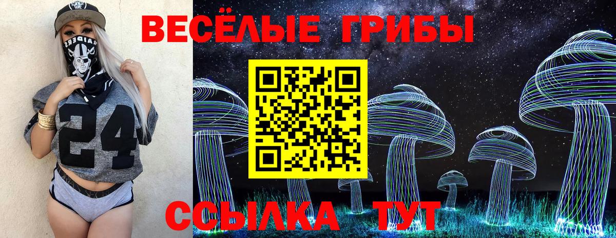 Галлюциногенные грибы ЛСД Унеча