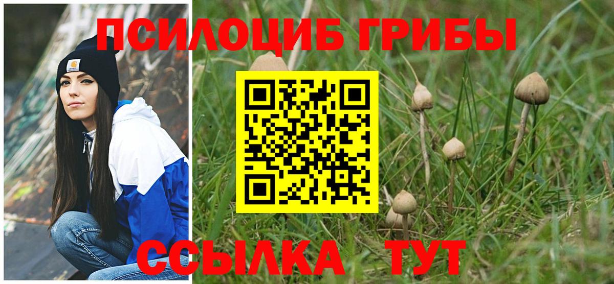 Псилоцибиновые грибы прущие грибы  Унеча  Псилоцибиновые грибы ЛСД 